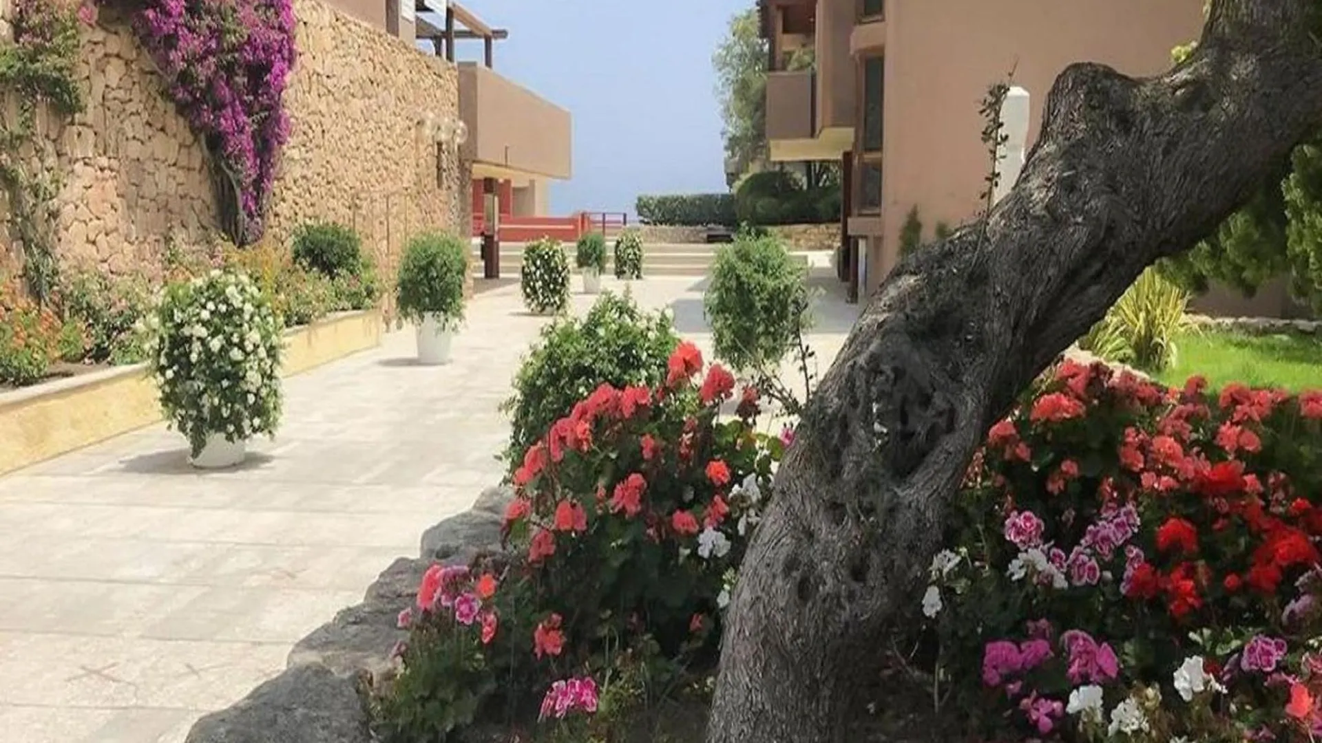 Simplistic Apartment In Olbia With Garden Italy